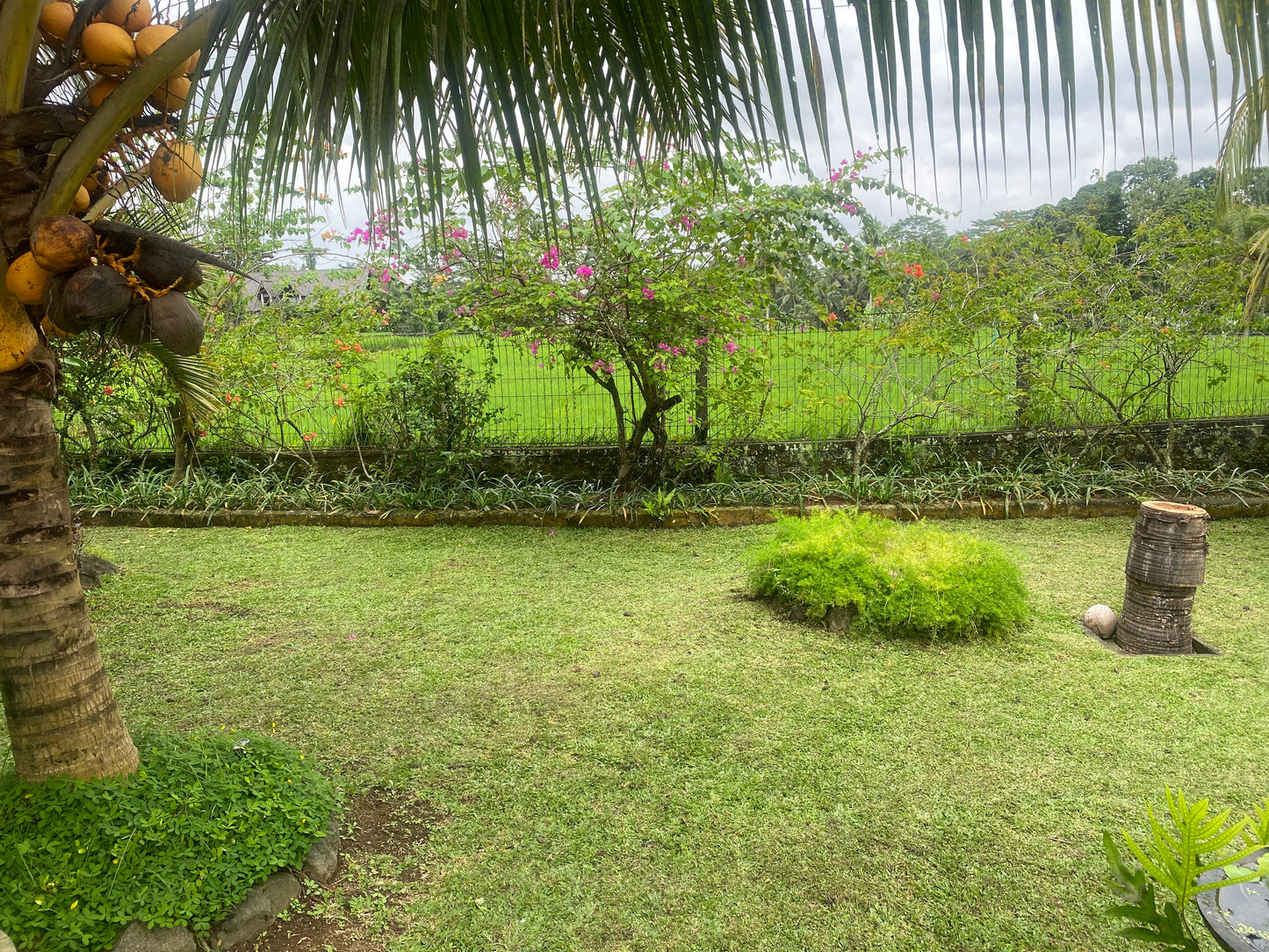 VILLA FOR SALE  MAS Ubud (Freehold)