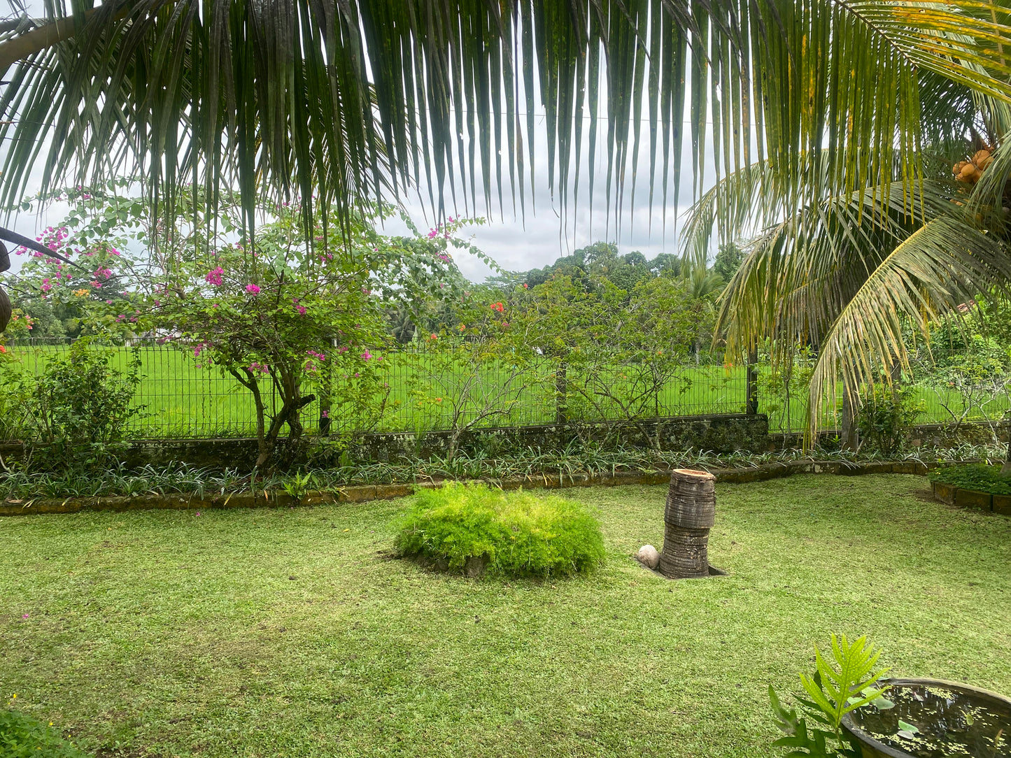 VILLA FOR SALE  MAS Ubud (Freehold)